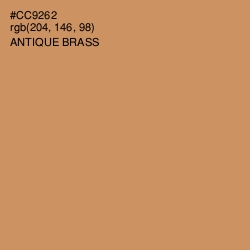 #CC9262 - Antique Brass Color Image